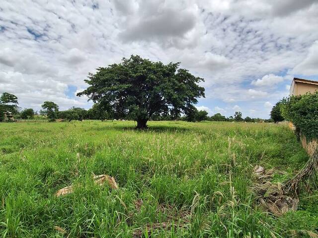 Chácara para Venda em Campos dos Goytacazes - 5