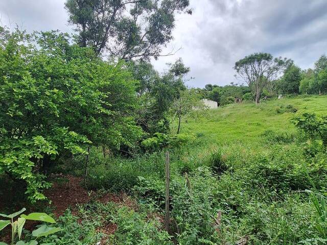 Chácara para Venda em Campos dos Goytacazes - 4