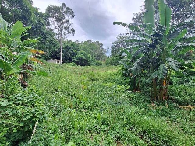 Chácara para Venda em Campos dos Goytacazes - 5