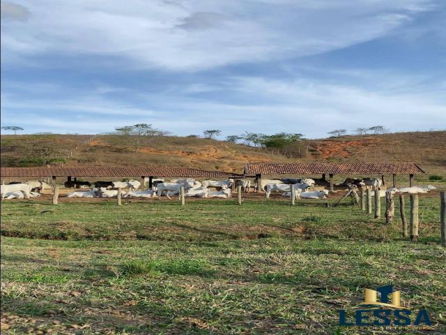 #614 - Fazenda para Venda em Campos dos Goytacazes - RJ