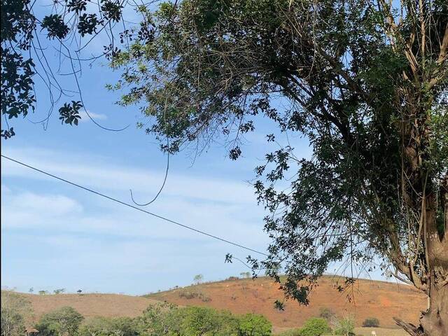 #614 - Fazenda para Venda em Campos dos Goytacazes - RJ